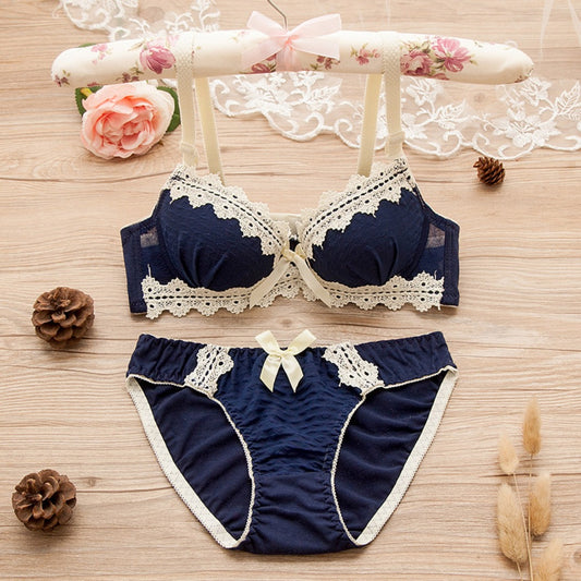 New Fashion Retro Style Bra & Panties for Women